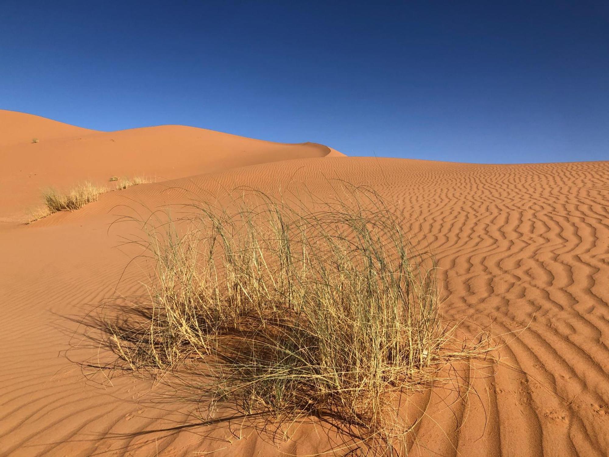 Bivouac Le Petit Prince Merzouga Esterno foto